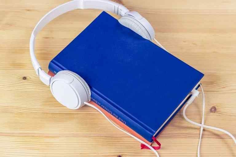 Top 10 Best Audiobook Apps in 2020 for Android and iOS (Free & Paid)