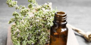 Best Thyme Oil Health Benefits and Uses