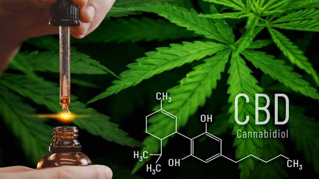 Types and effects of CBD Cannabidiol