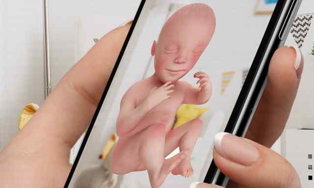 Best Pregnancy Apps for iPhone and iPad