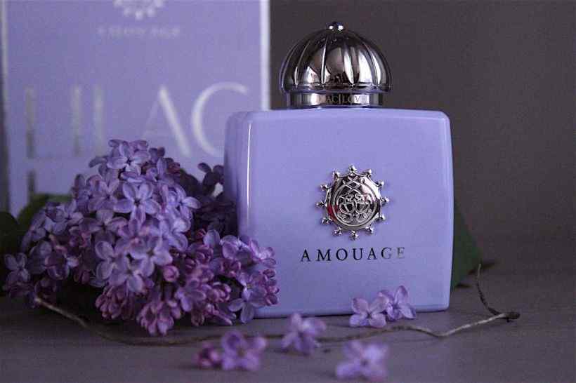 Best Amouage Perfumes For Women