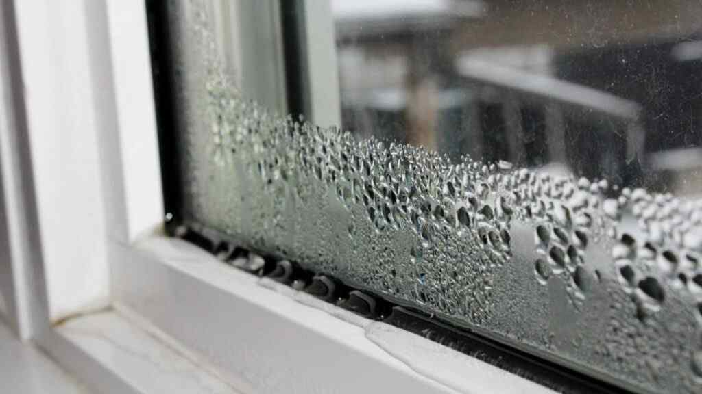 What are the Risks of Humidity in the Home