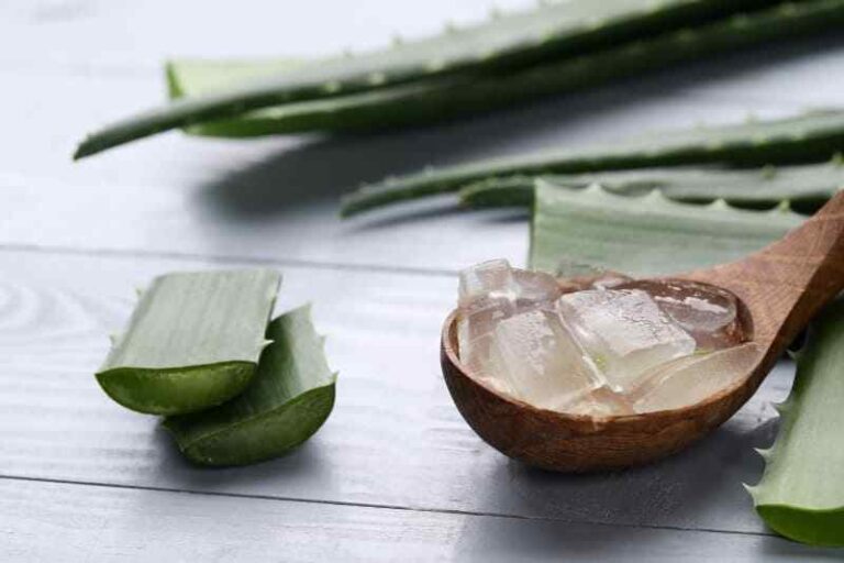 The Benefits of Aloe Vera for Hair and How It Benefits your Hair