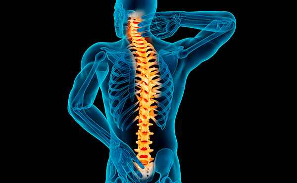 What Would Be the Most Effective Spine and Disc Treatment