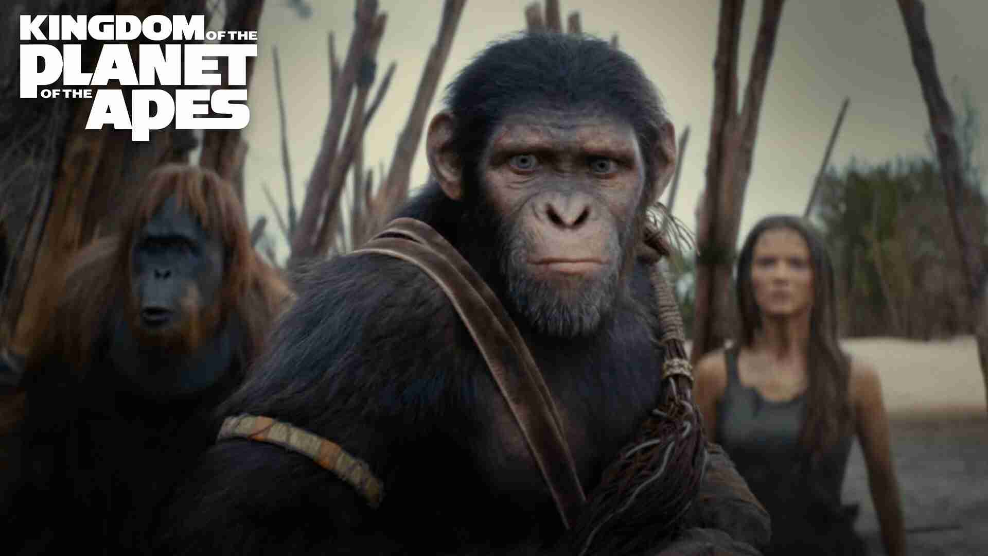 Kingdom of the planet of the Apes Full Movie Download